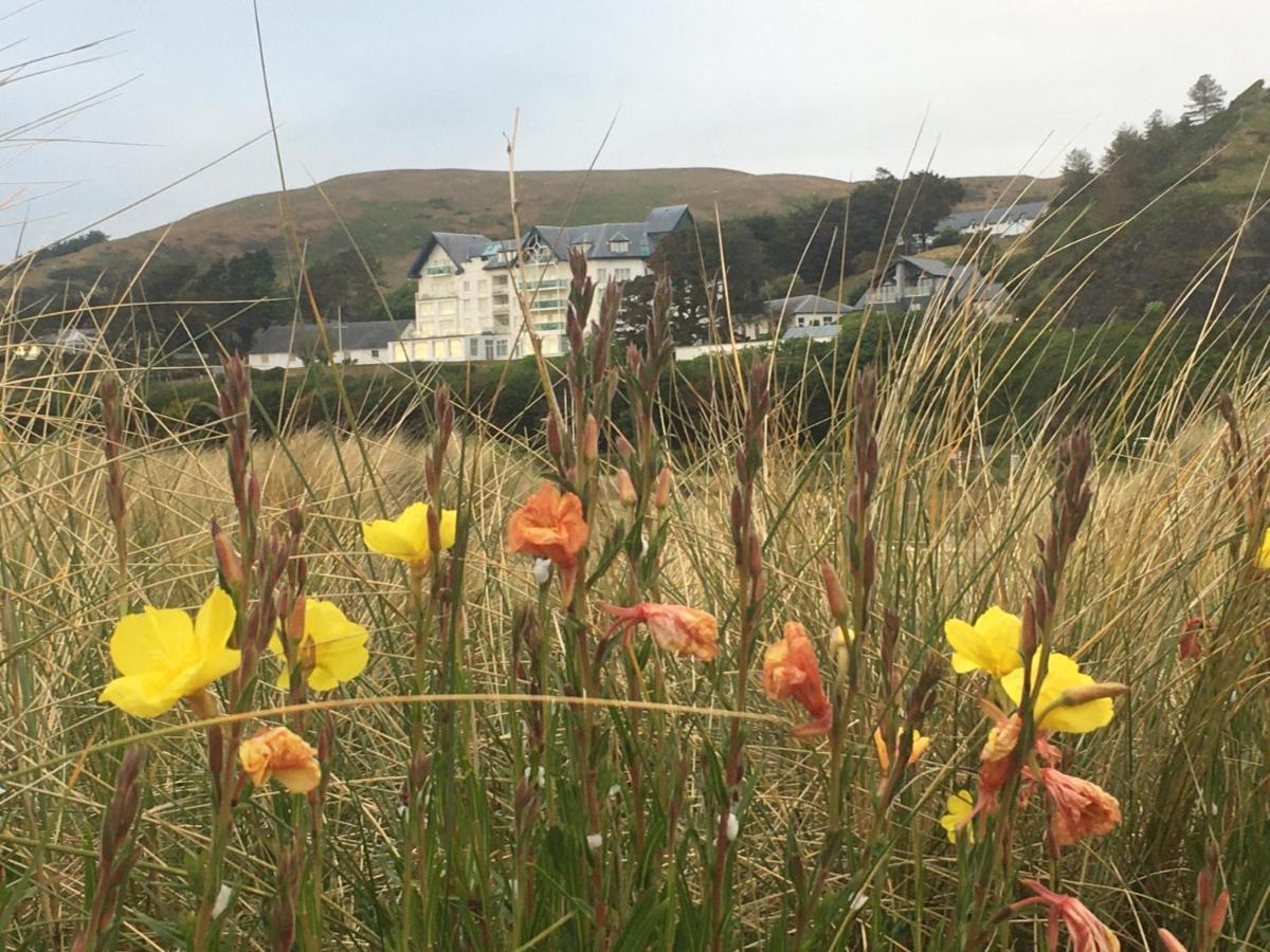 Beautiful Aberdovey Seafront Apartment 2 Aberdyfi Exteriör bild